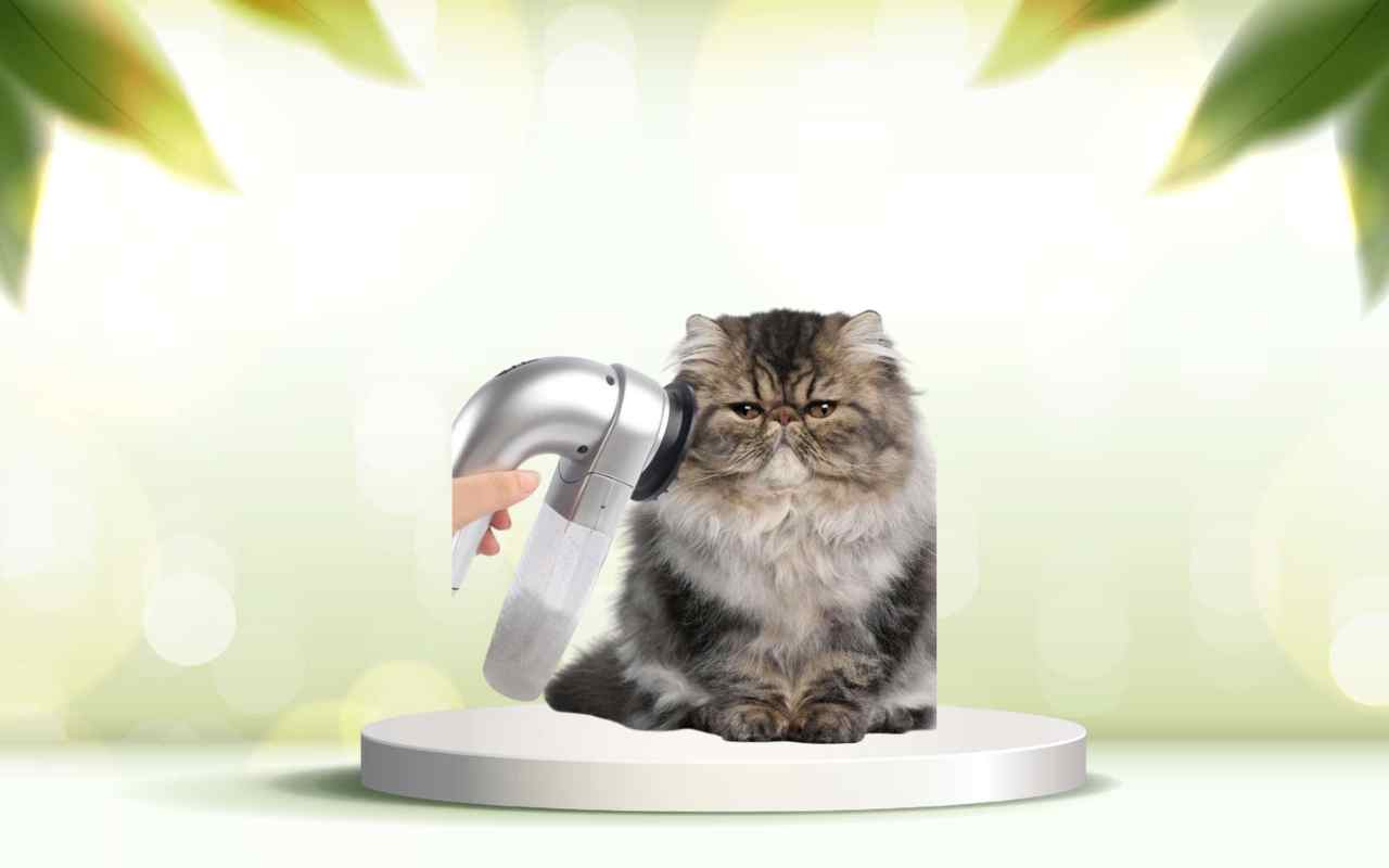 Dì addio ai peli in casa con SpazzolAmica: prova la spazzola definitiva ora